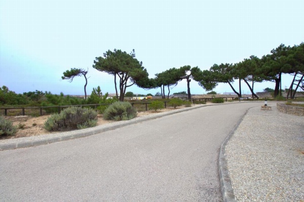 WOT Peniche Pinhalmar image 34